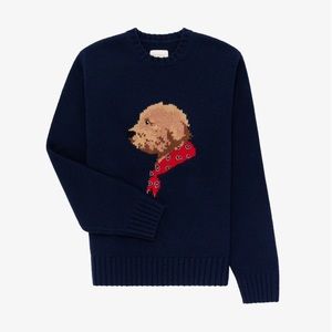 Aime Leon Dore Collegiate Buddy Sweater